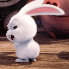 it is still “chasing the white rabbit”